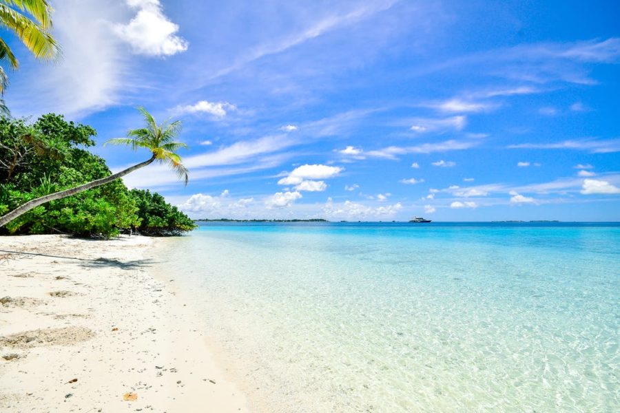 Spring Break: Vacation or Staycation?