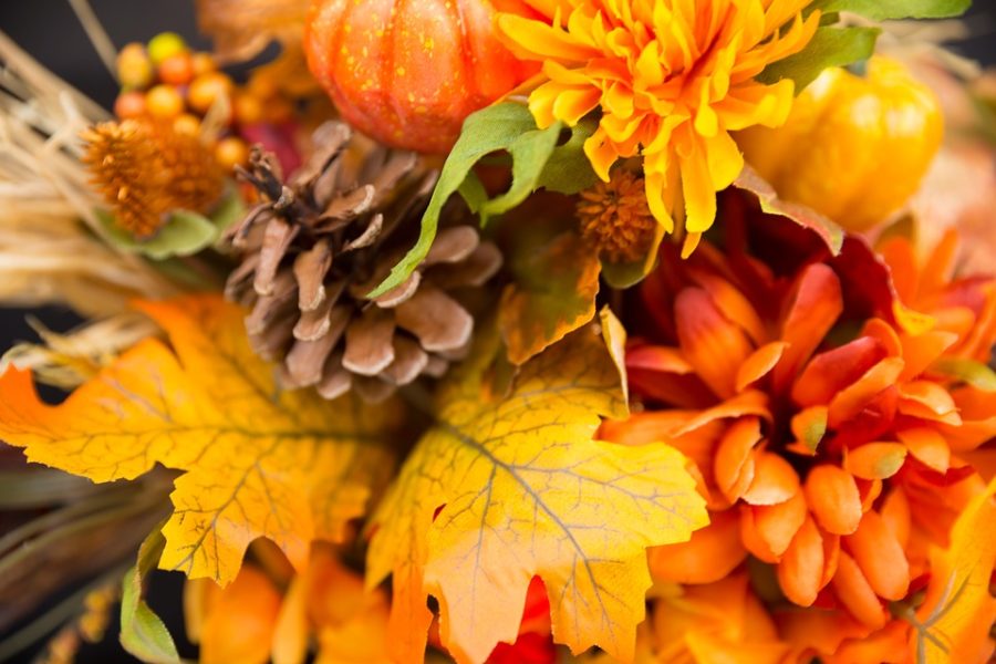 Fall Fashion:  Combining Style and Practicality
