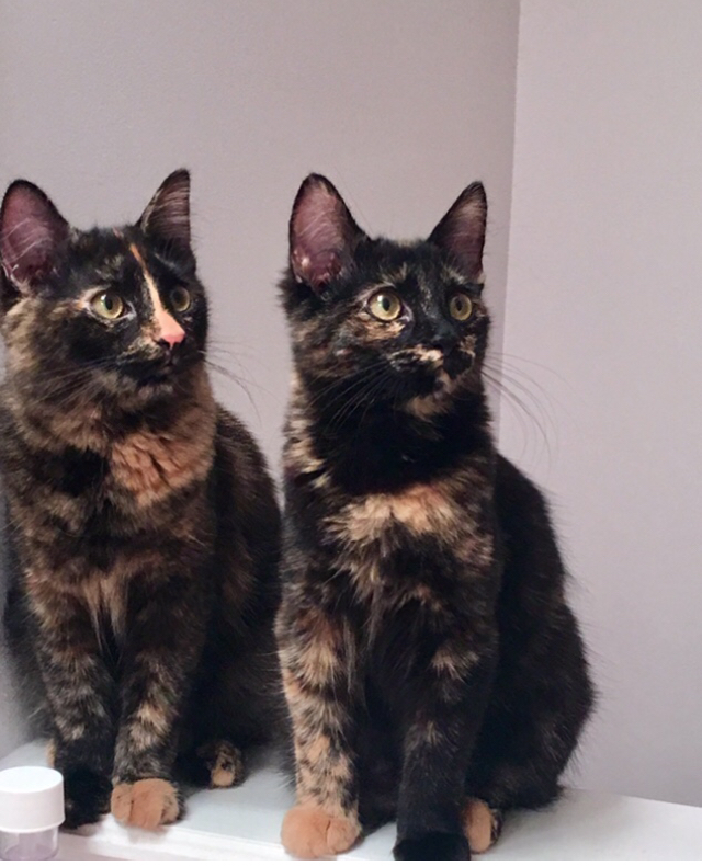 Sisters Juke and Fran's gaze and head tilt are the same.