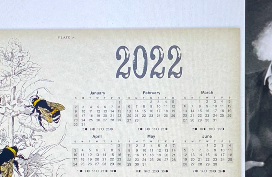 What will happen in 2022...