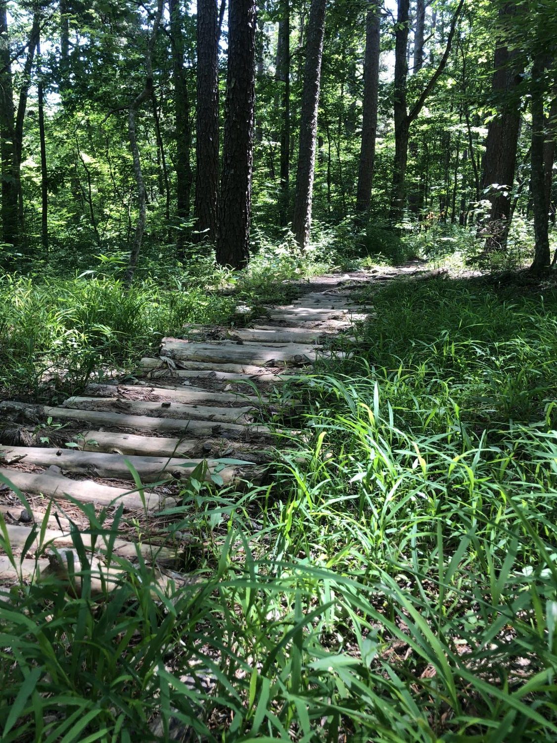 Perfect Weekend Hiking Spots
