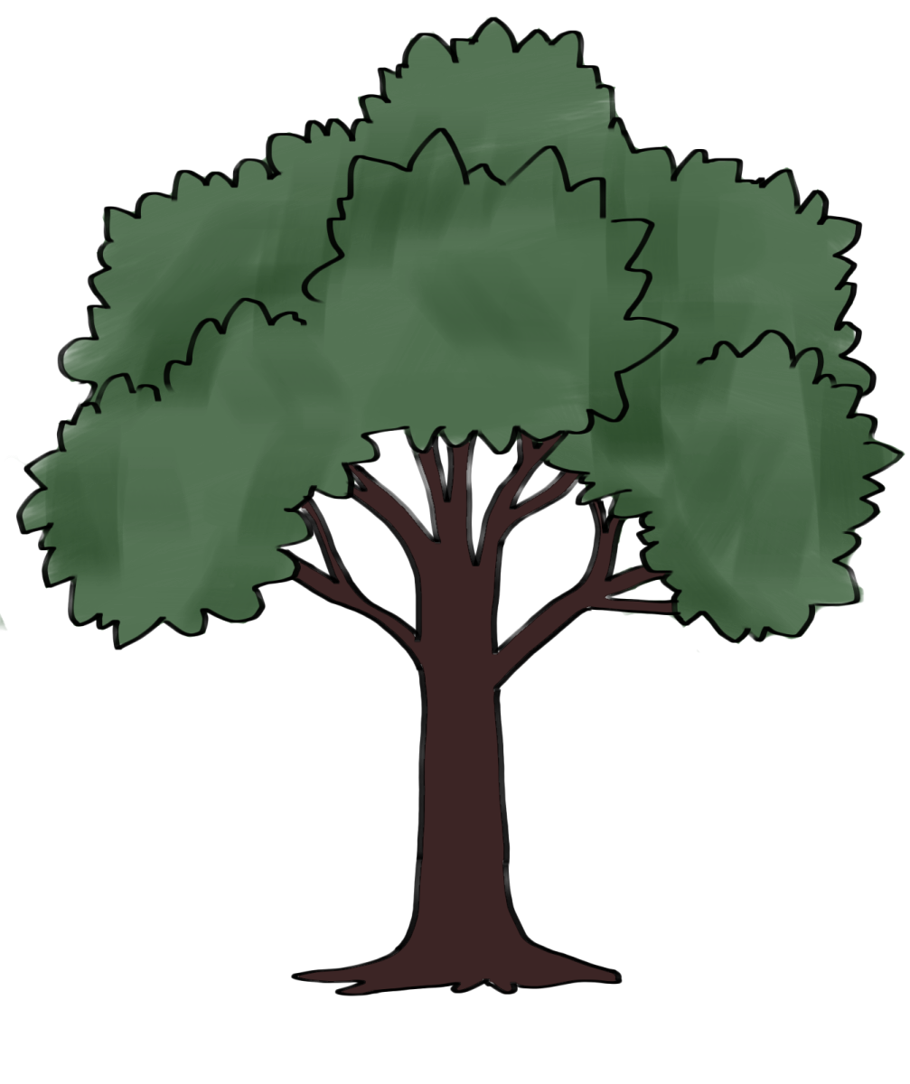 Branch Out