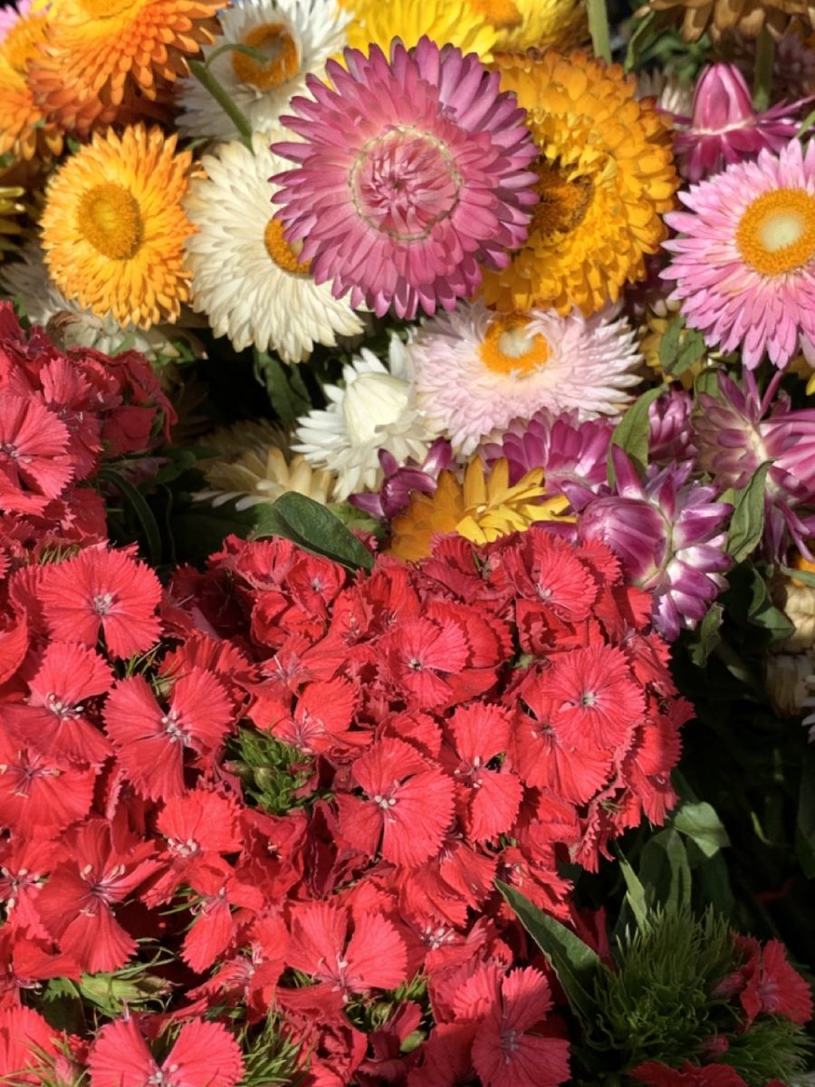 San Francisco's Market