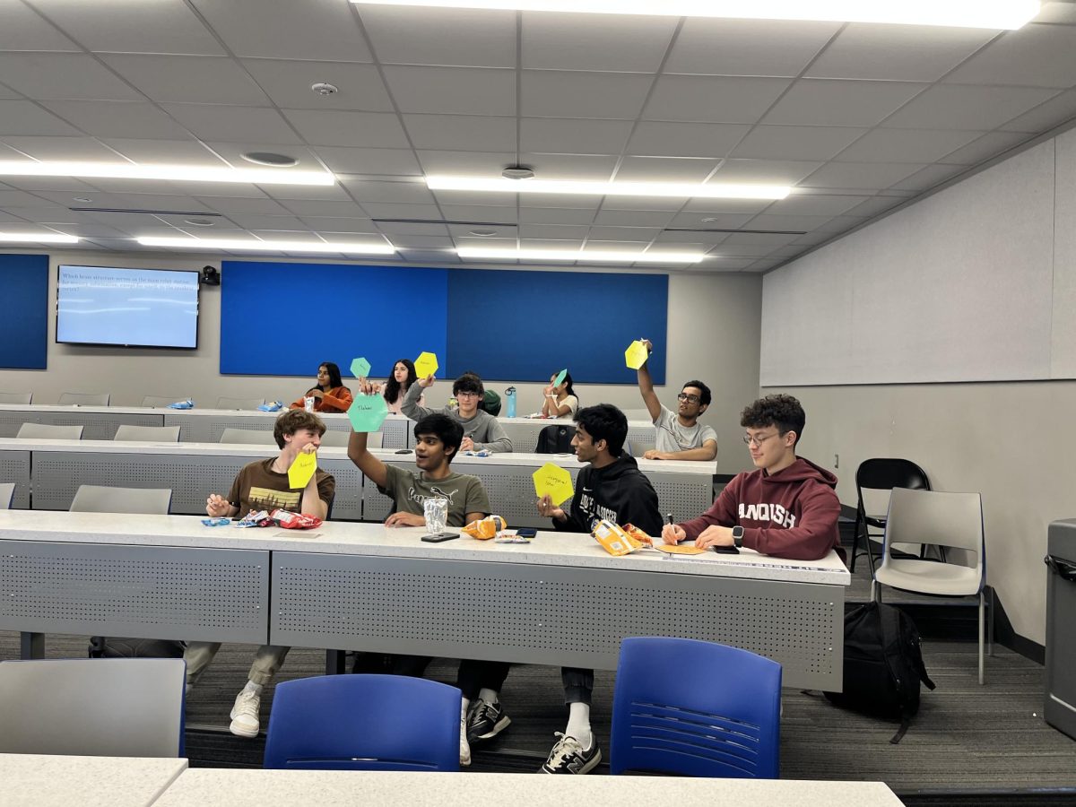 Students hold up their answers during class as they participate in discussion. A large aspect of many AP classes is participation. "I chose to take an AP class because I wanted to prepare for college and challenge myself," Molly Shipley (10) said.