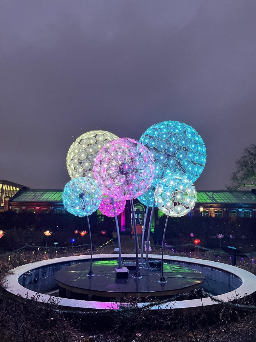 Follow the Glow