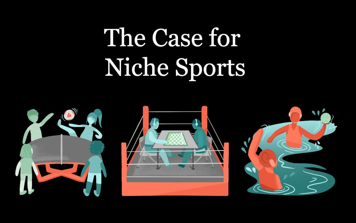 nichesportsfeatureimage
