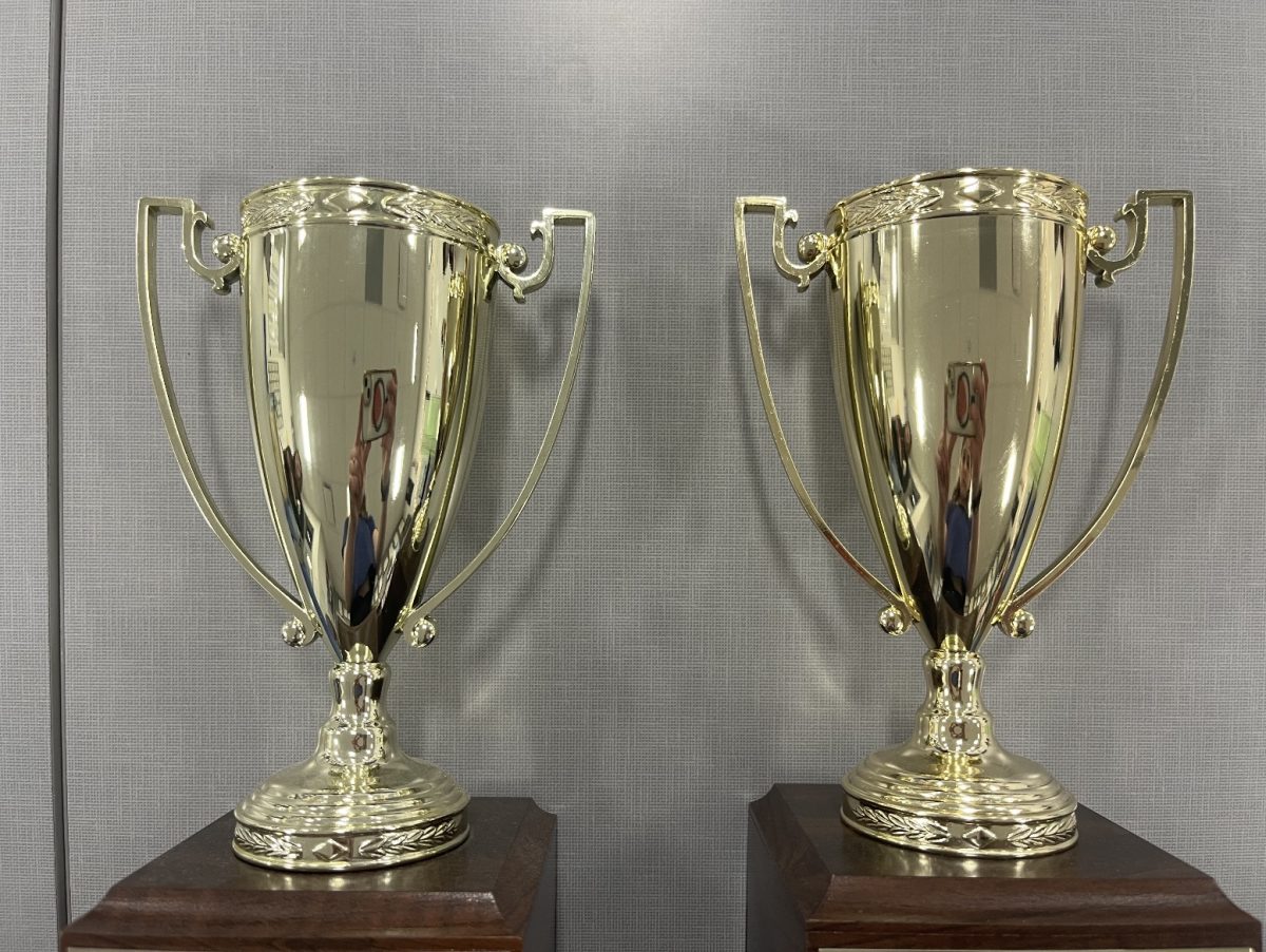 Though two universities may differ in selectivity, they can both provide significant advantages to their graduates. Knowing this, where do the steep differences in price and prestige come from, and is there that big of a difference?