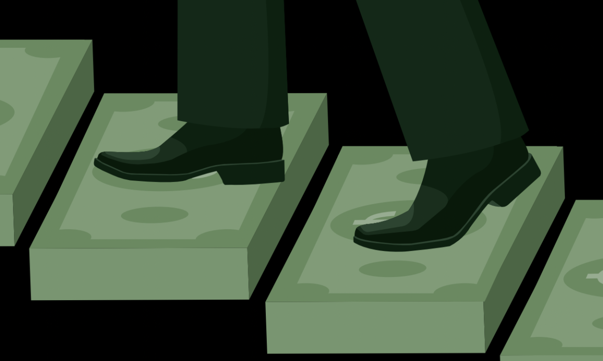 A Distorted Democracy