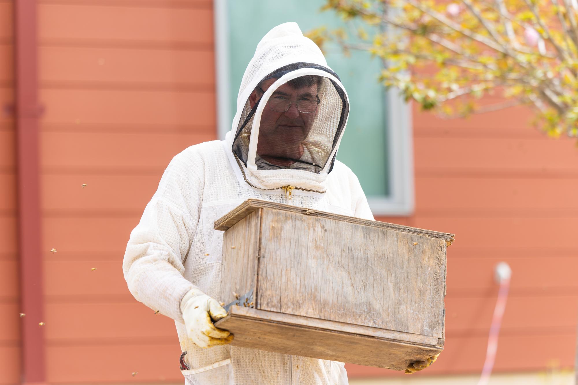 Buzzing Away