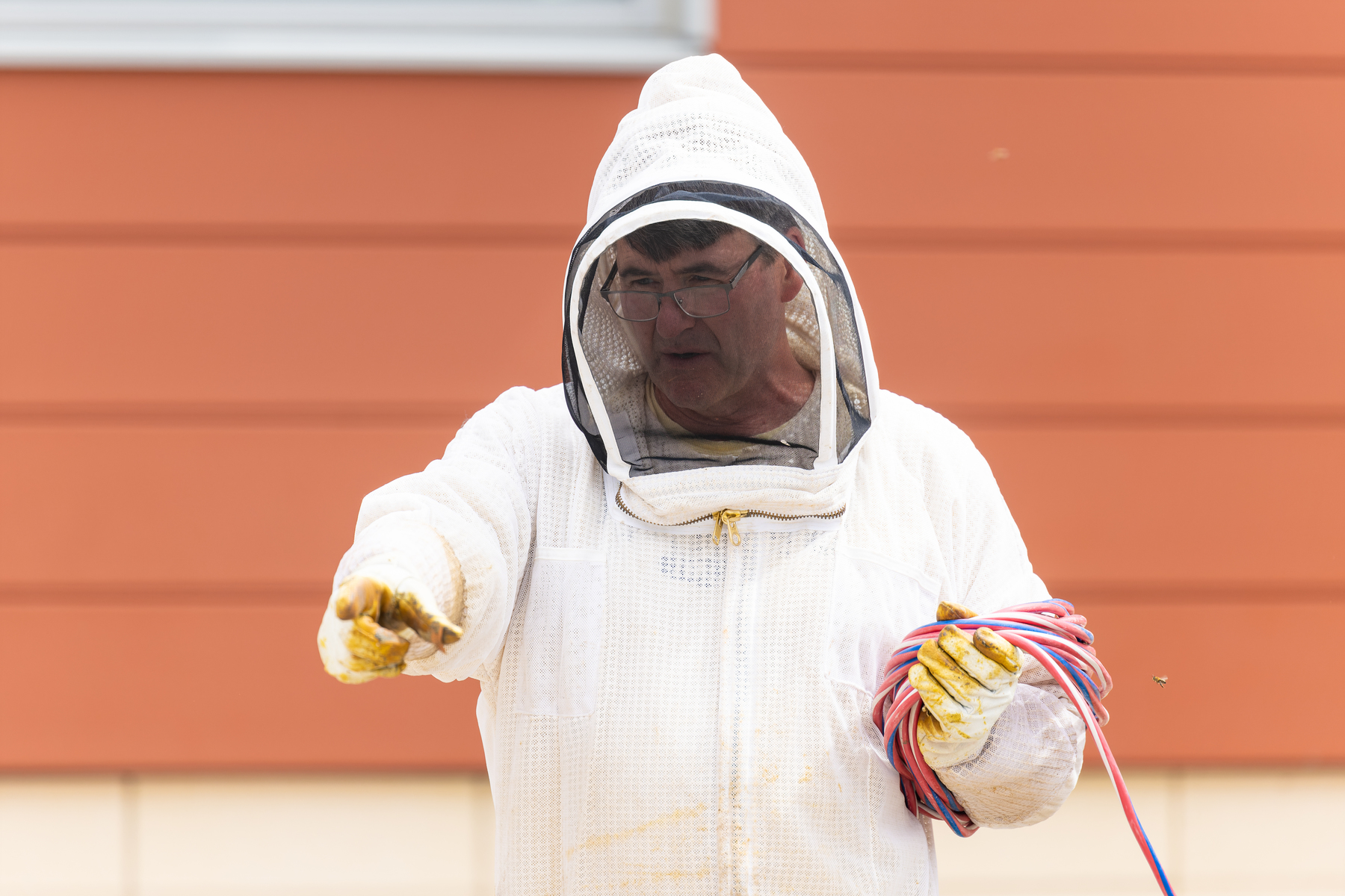 Buzzing Away