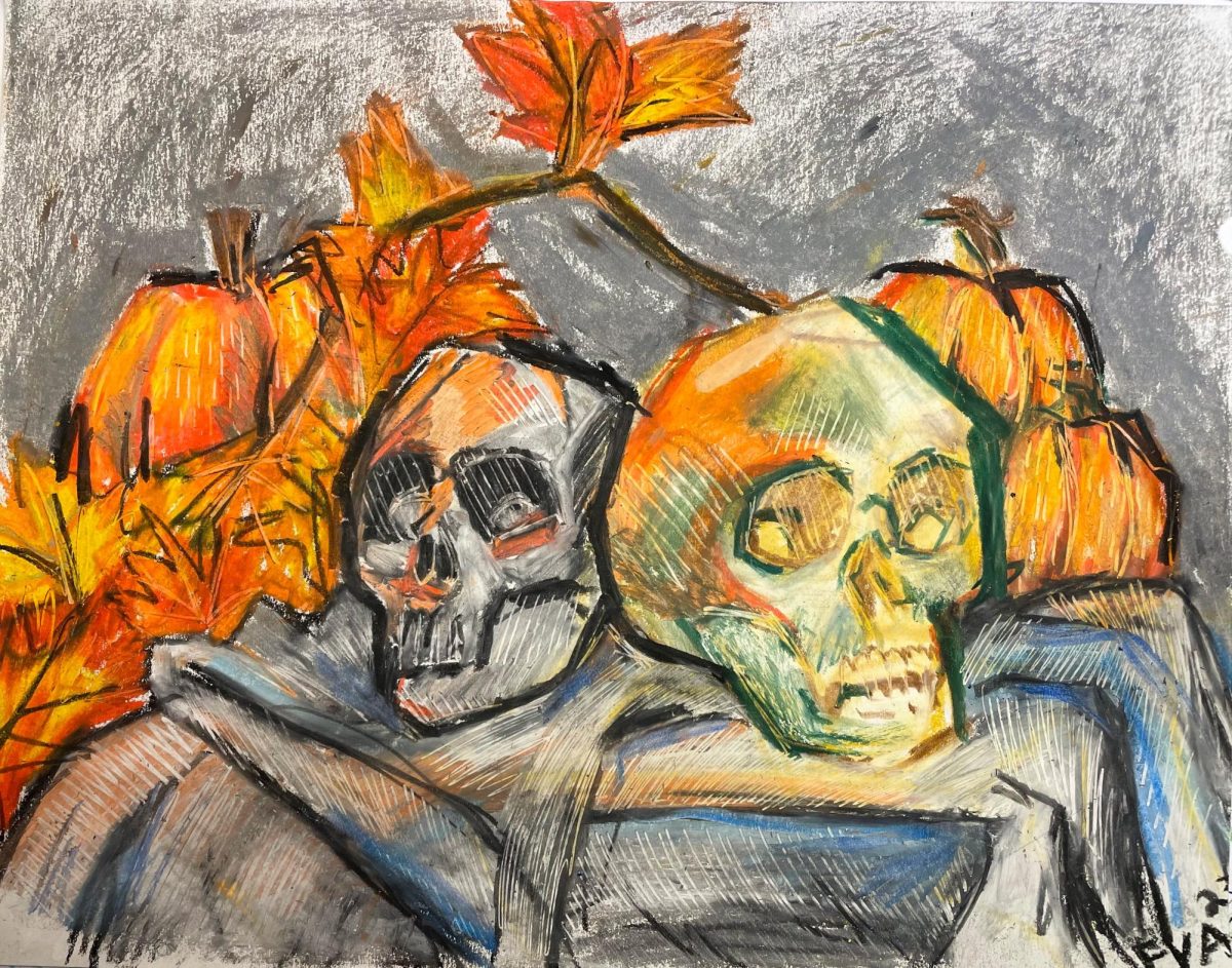 Skull Study