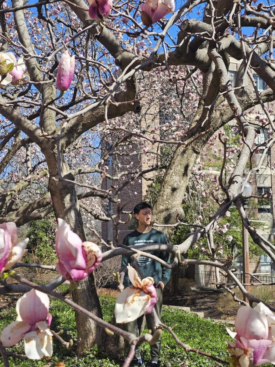 Kai Chen (10) stands amidst the flowering trees on the campus of Washington University in St. Louis, his gaze drifting into the distance. He cherished the serenity of nature with his brother, who is graduating this year. “My brother and I took a lot of pictures together,” Chen said. “We wanted to see the cherry flower trees on campus, so our parents took us.” 
