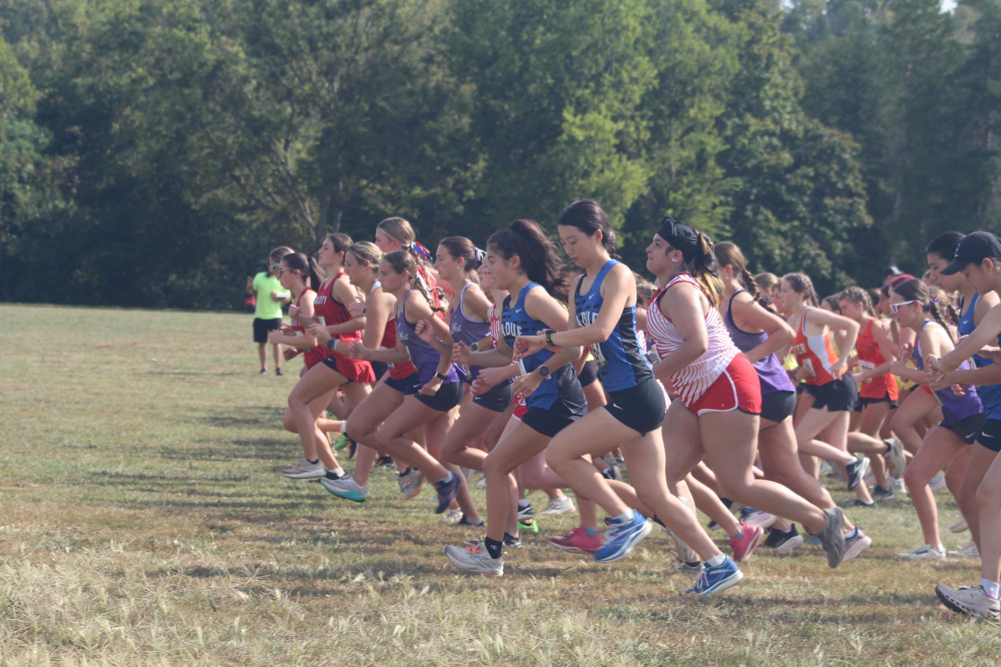 Cross Country competes in Festus Bowl Sept. 20