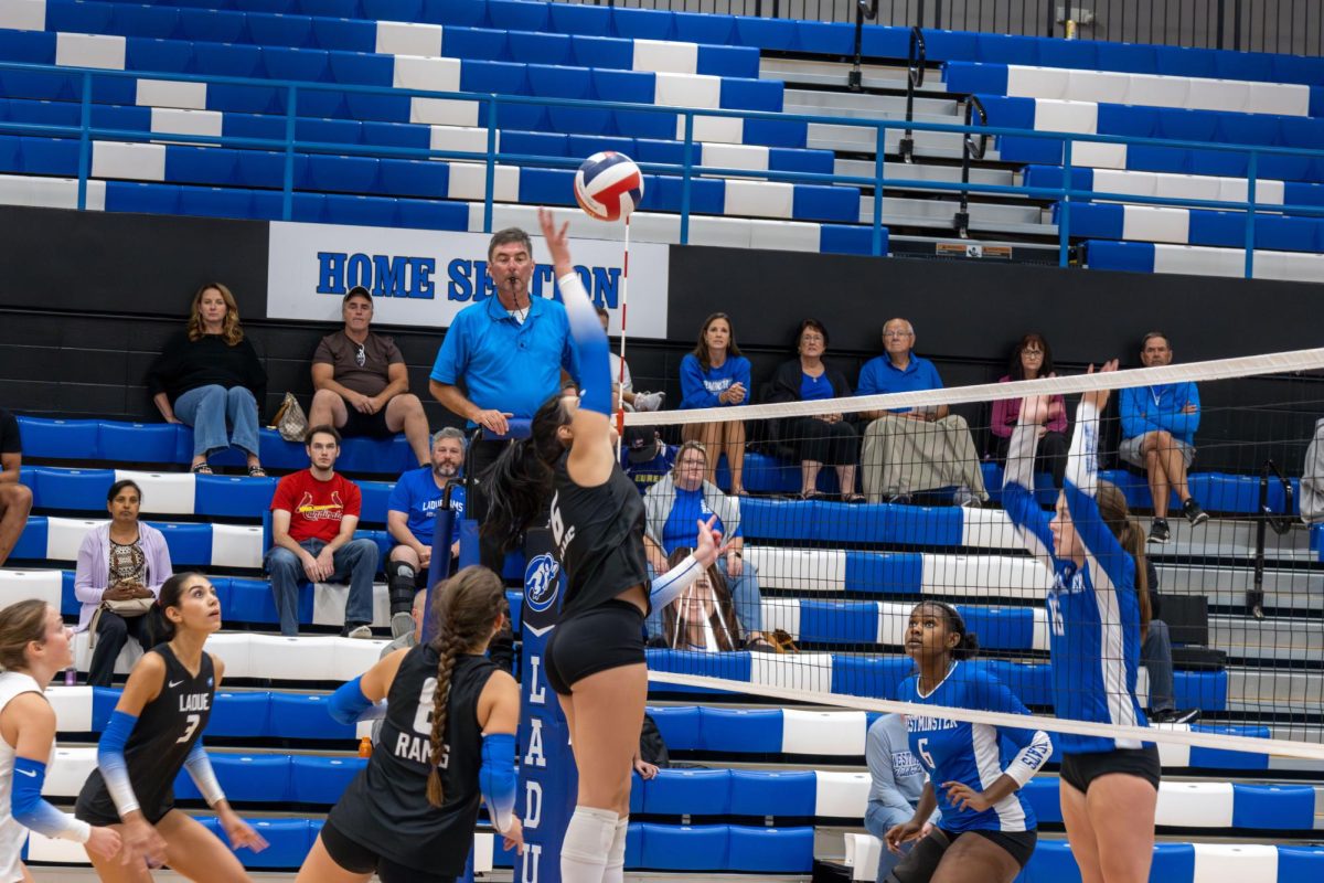 Volleyball on the Hunt