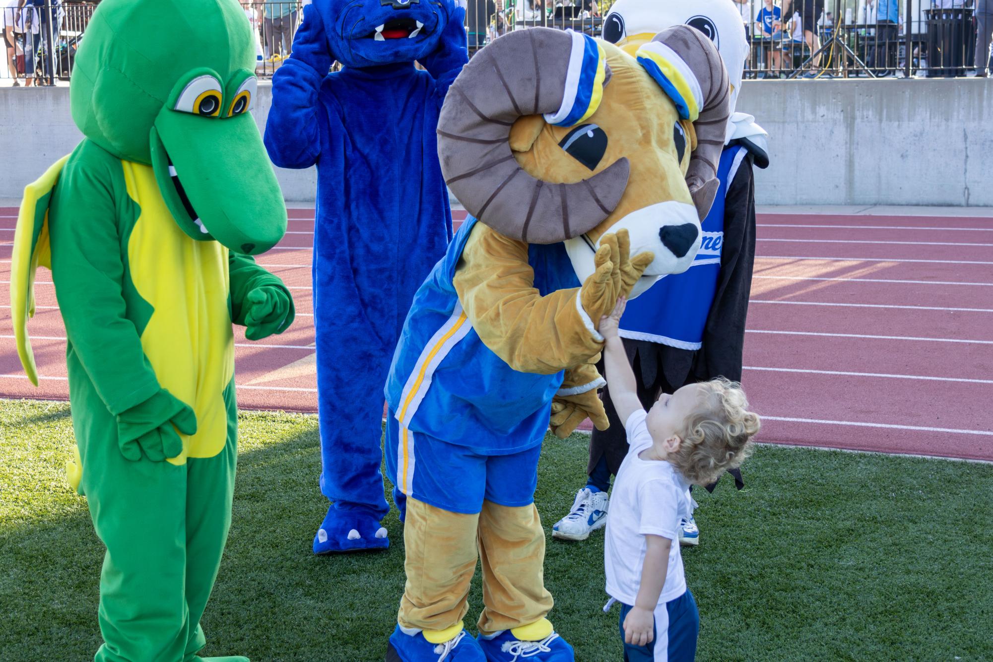 Ladue Education Foundation hosts their 13th annual 'Due Run Sept. 27