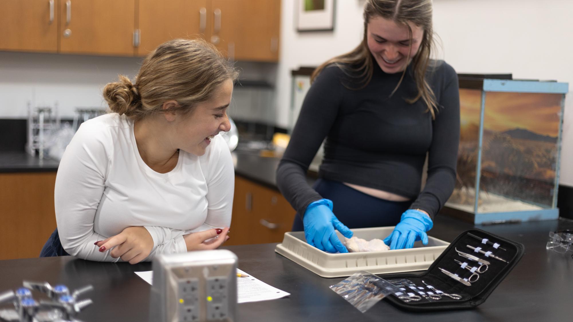 Anatomy & Physiology students conduct dissection Nov. 21.