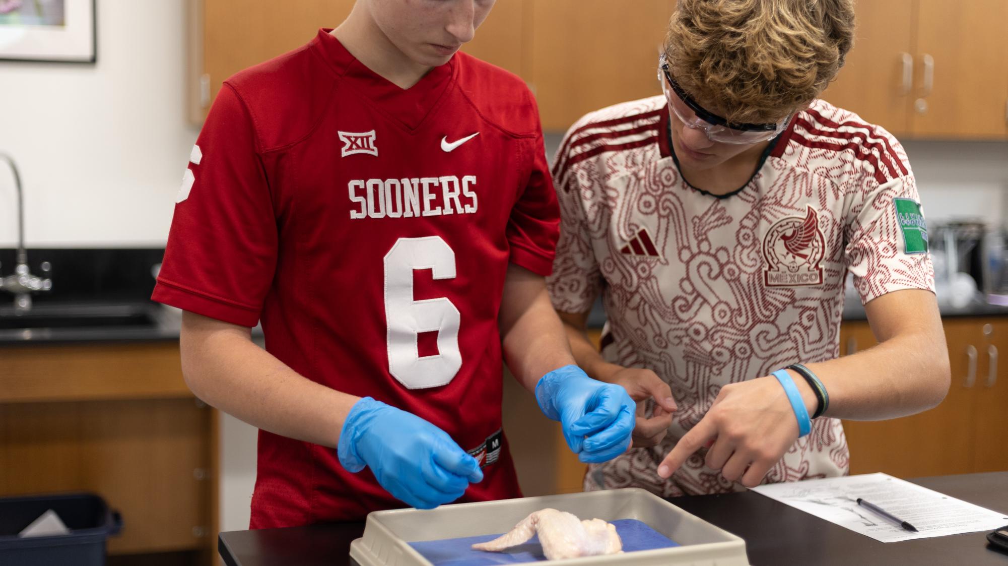 Anatomy & Physiology students conduct dissection Nov. 21.