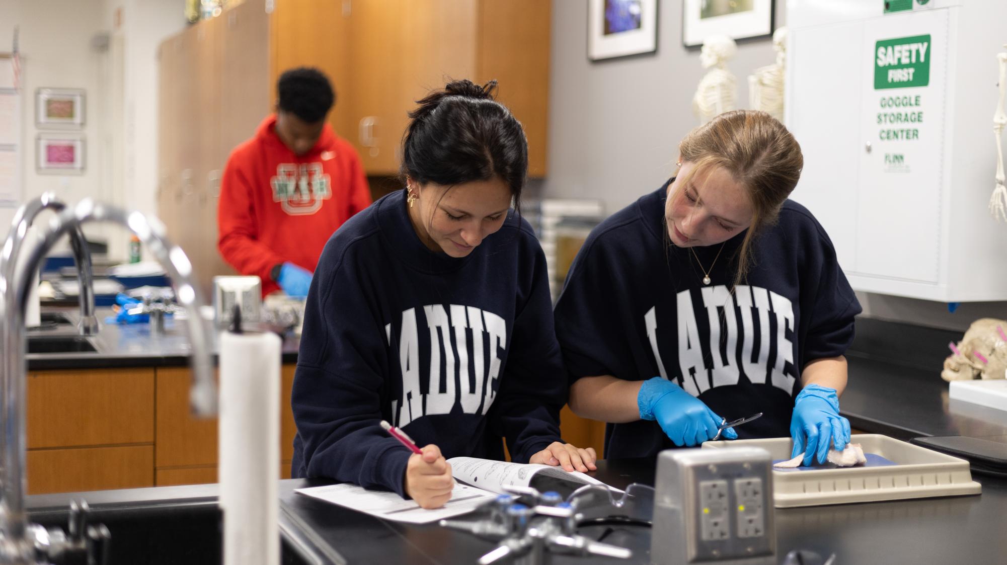 Anatomy & Physiology students conduct dissection Nov. 21.