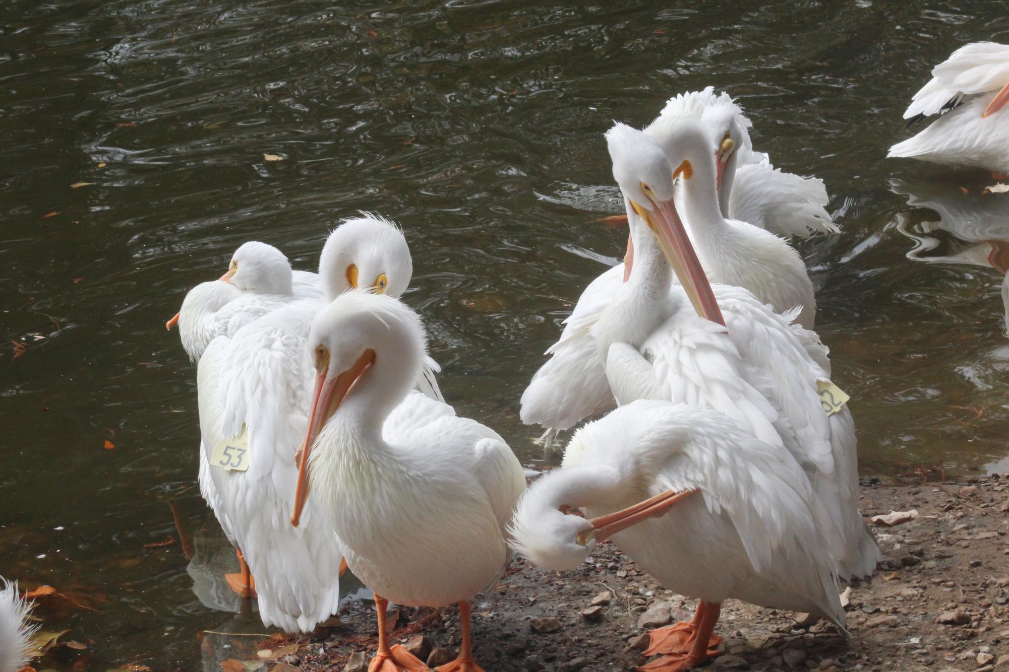 Photography students go on field trip Nov. 13-14