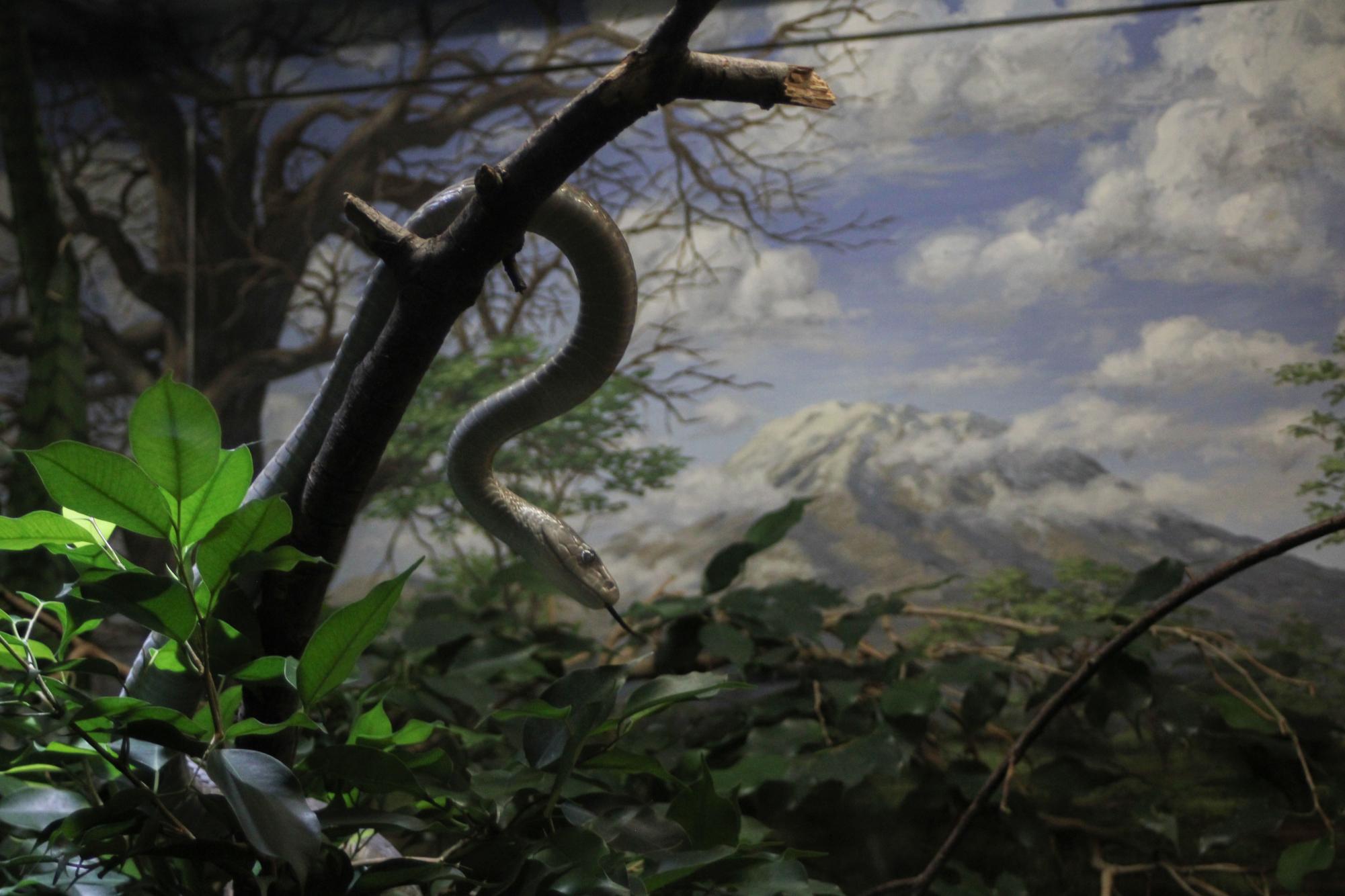 Photography students go on field trip Nov. 13-14