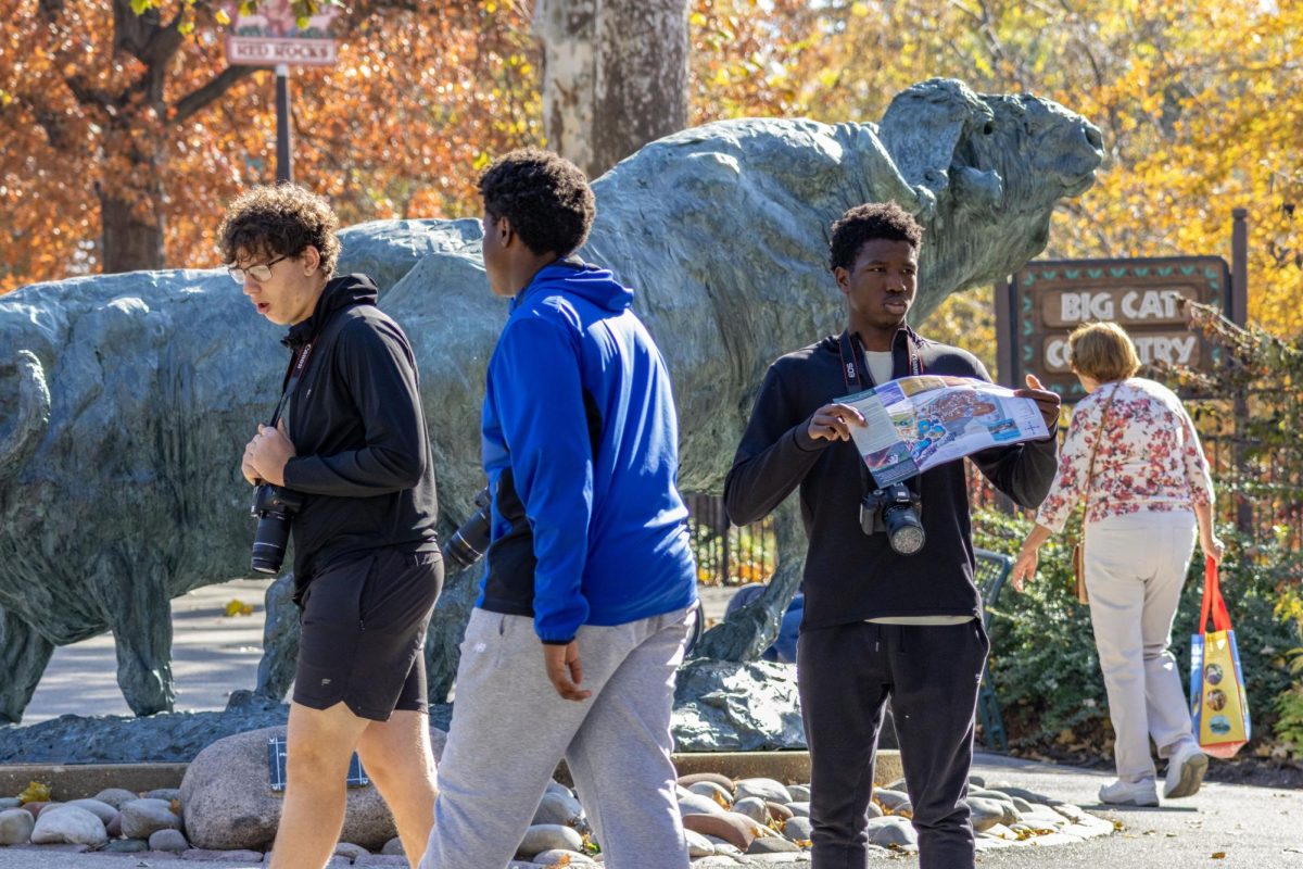 Photo students go on field trips to the Saint Louis Zoo Nov. 13-14. Students practiced taking portrait photos of the animals during the field trip which lasted the majority of the school day. “It was such a fun experience to be able to see so many different animals when I would otherwise be having a regular school day,” Isabella Plumb (12) said.