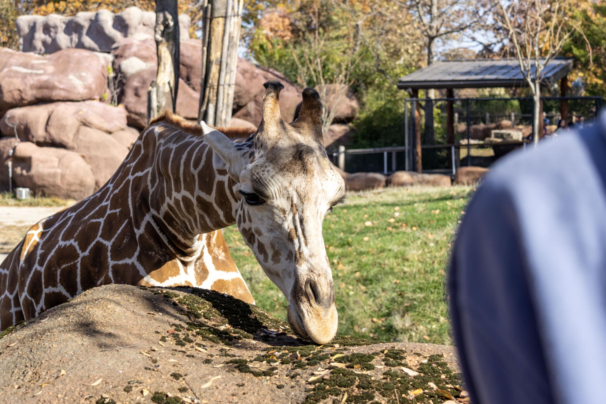 Photography students go on field trip Nov. 13-14