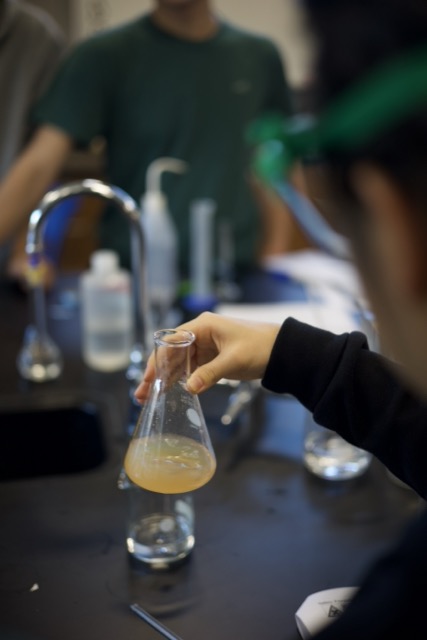 AP Chemistry students complete Juice Titration lab Nov. 7