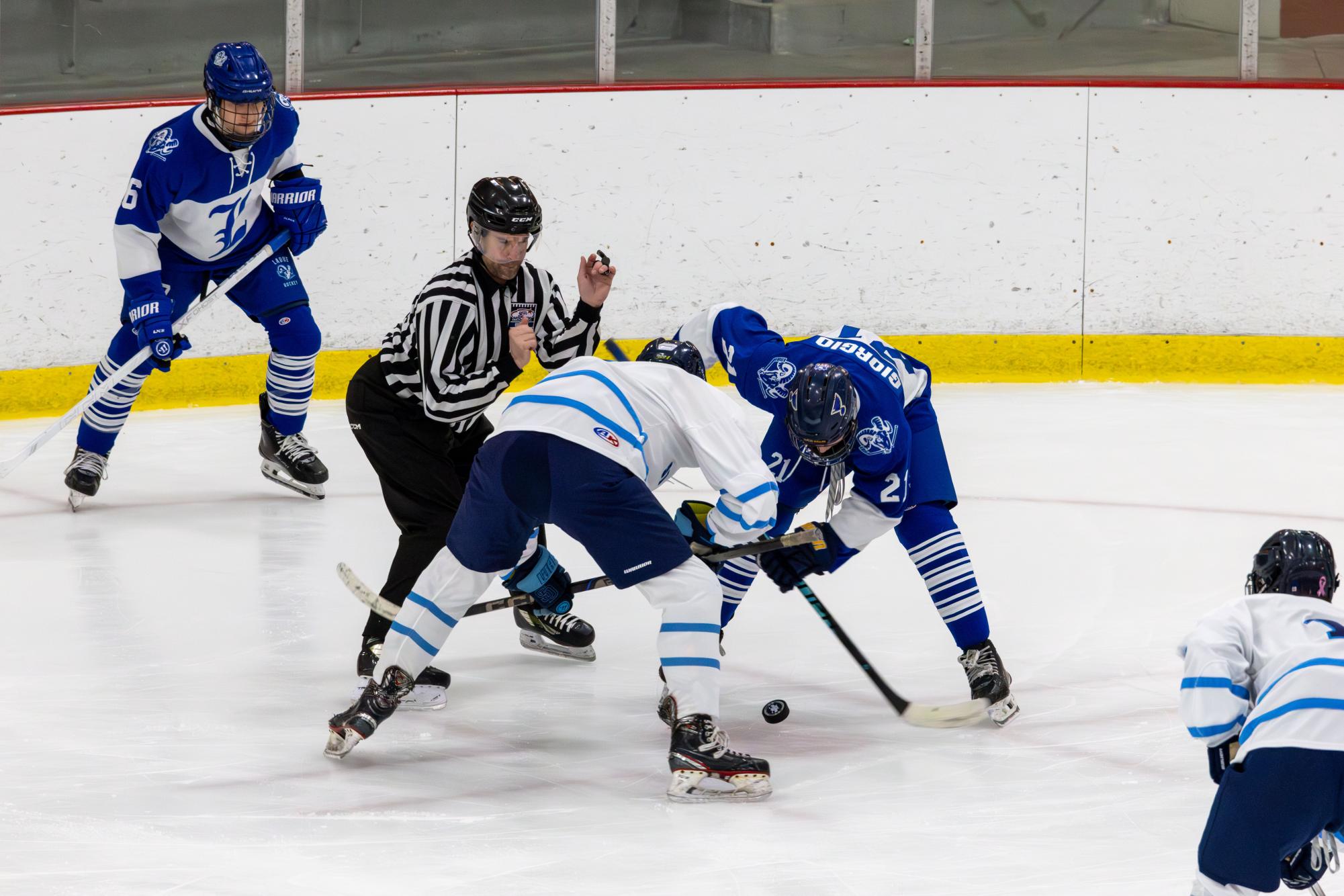 Varsity hockey faces off against St. Dominic Nov. 28