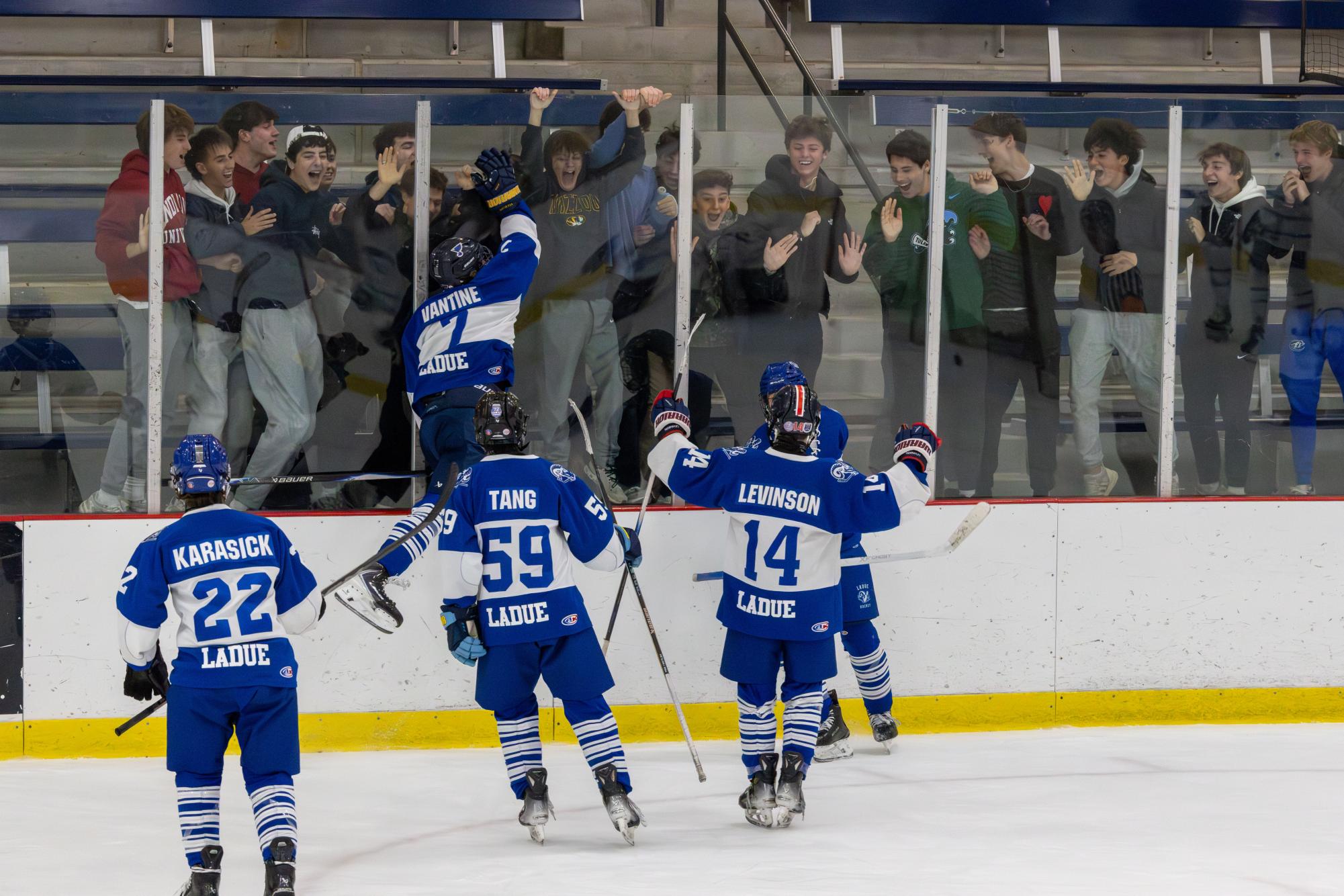 Varsity hockey faces off against St. Dominic Nov. 28