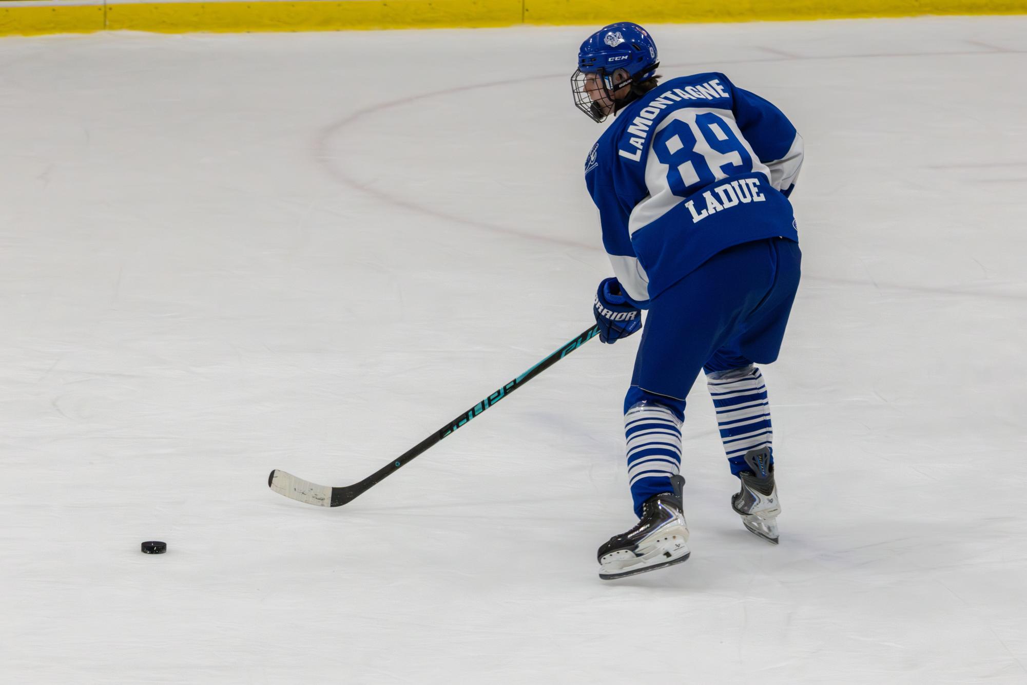 Varsity hockey faces off against St. Dominic Nov. 28