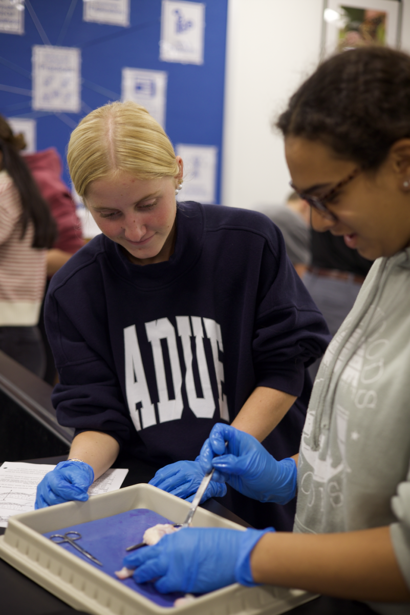 Anatomy students dissect a chicken leg on Nov. 20. The goal of the lab was to see the muscles, tendons, and tissue around a bone. "This was a really fun lab, but it wasn't easy to cut through the skin." Charlotte Wilson (11) said. 
