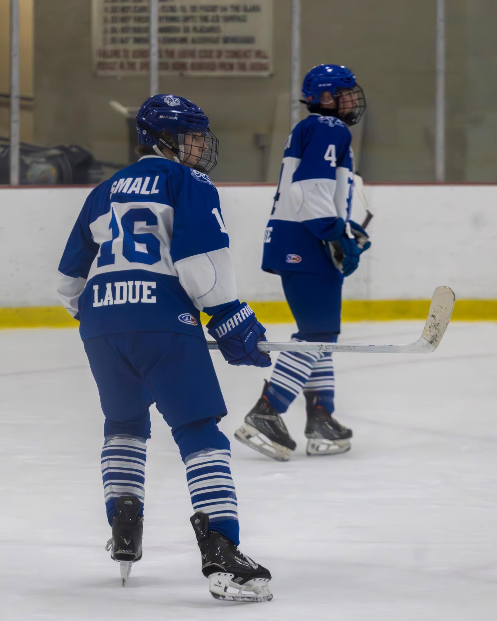 Varsity hockey faces off against St. Dominic Nov. 28