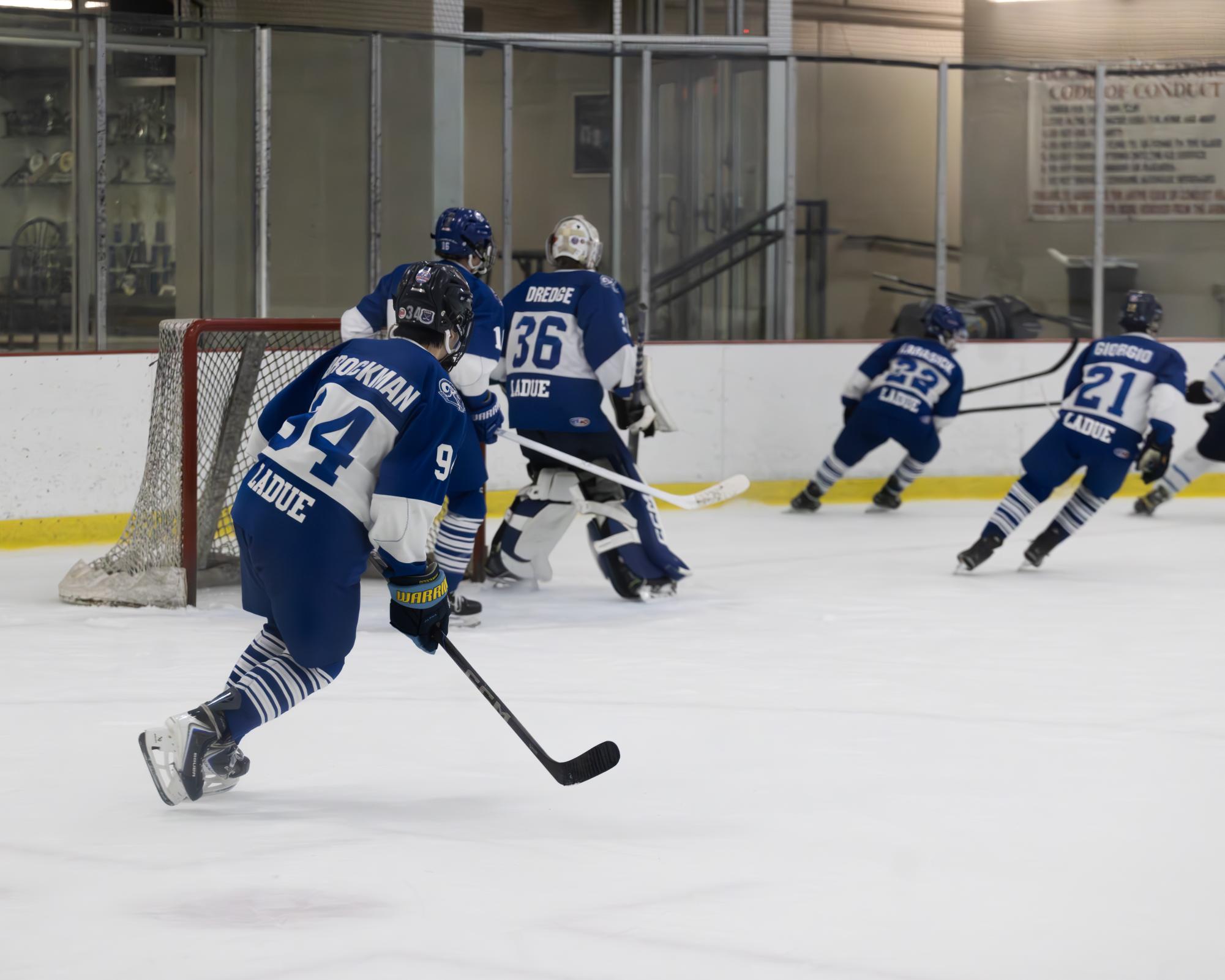 Varsity hockey faces off against St. Dominic Nov. 28