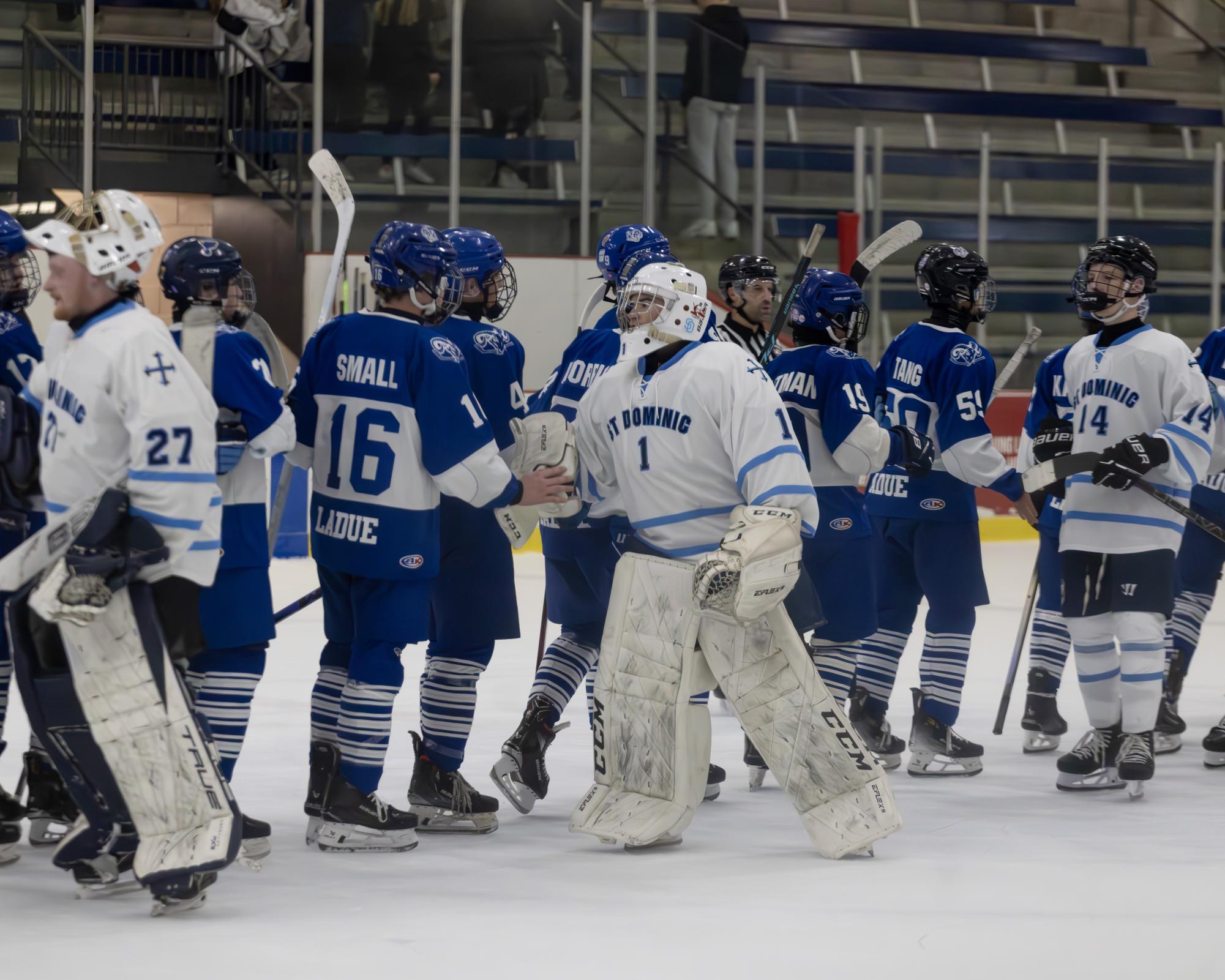 Varsity hockey faces off against St. Dominic Nov. 28