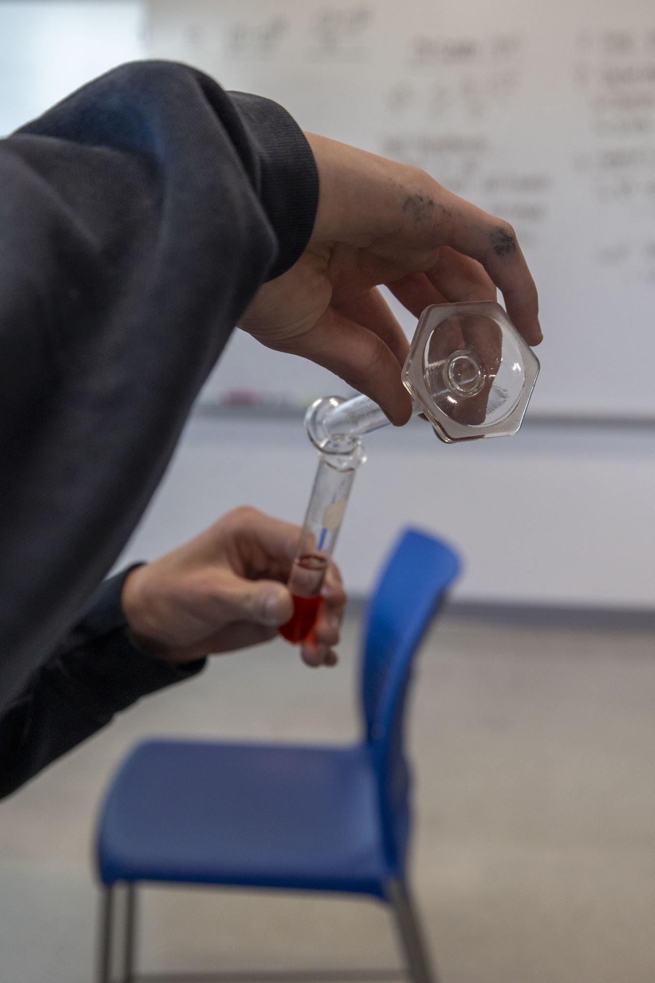 Freshmen biology students separate DNA from strawberries