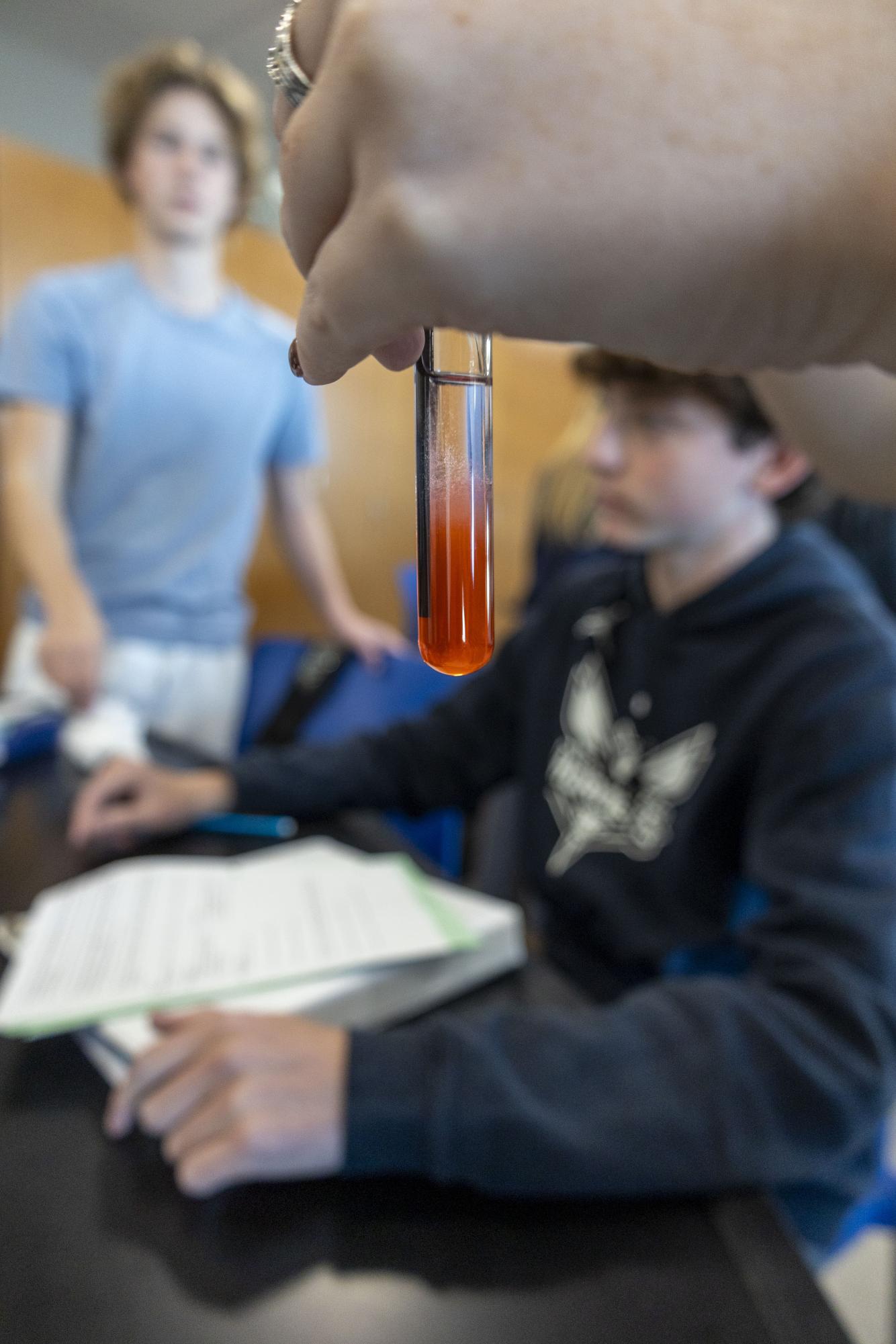 Freshmen biology students separate DNA from strawberries