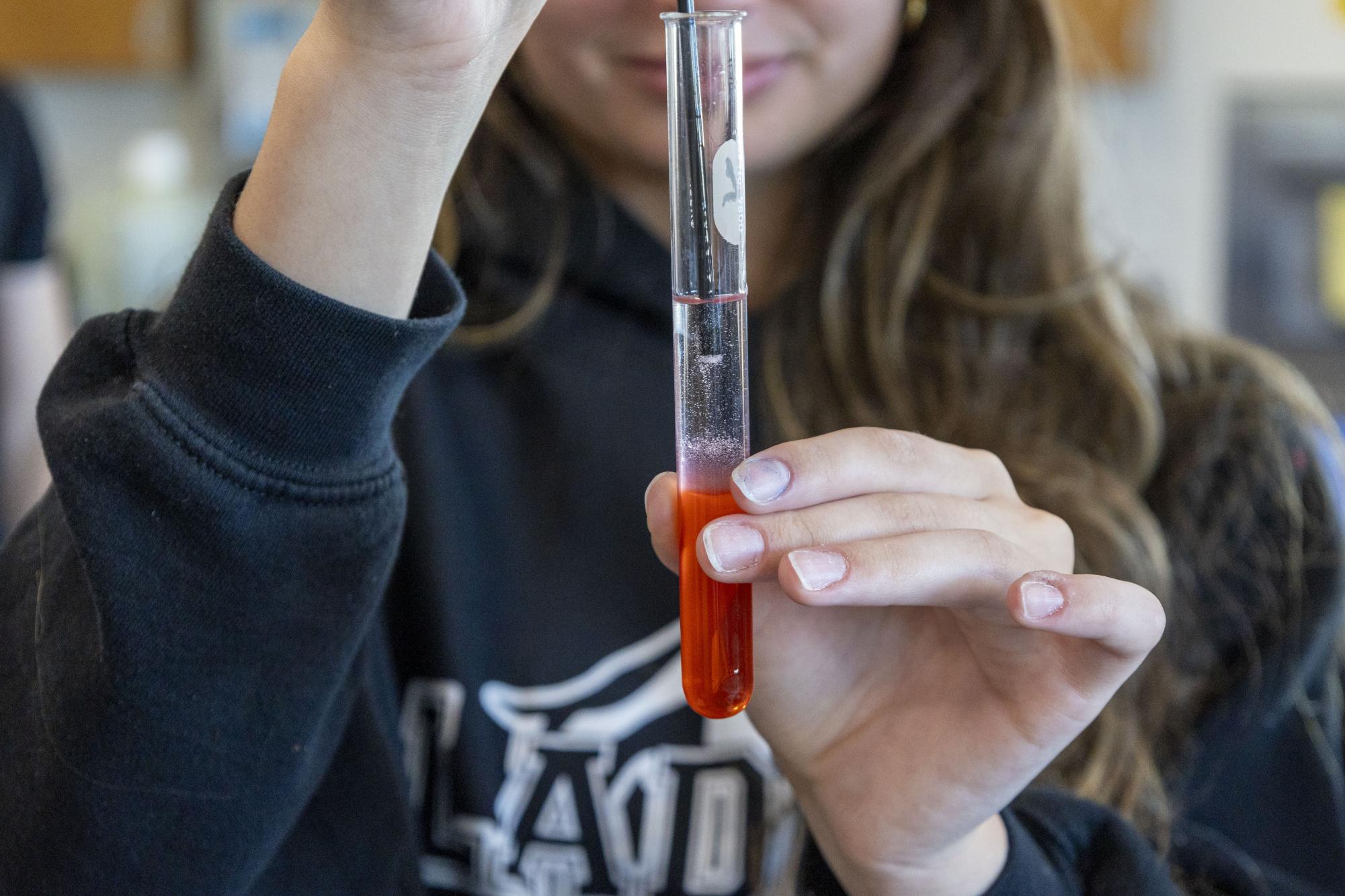 Freshmen biology students separate DNA from strawberries