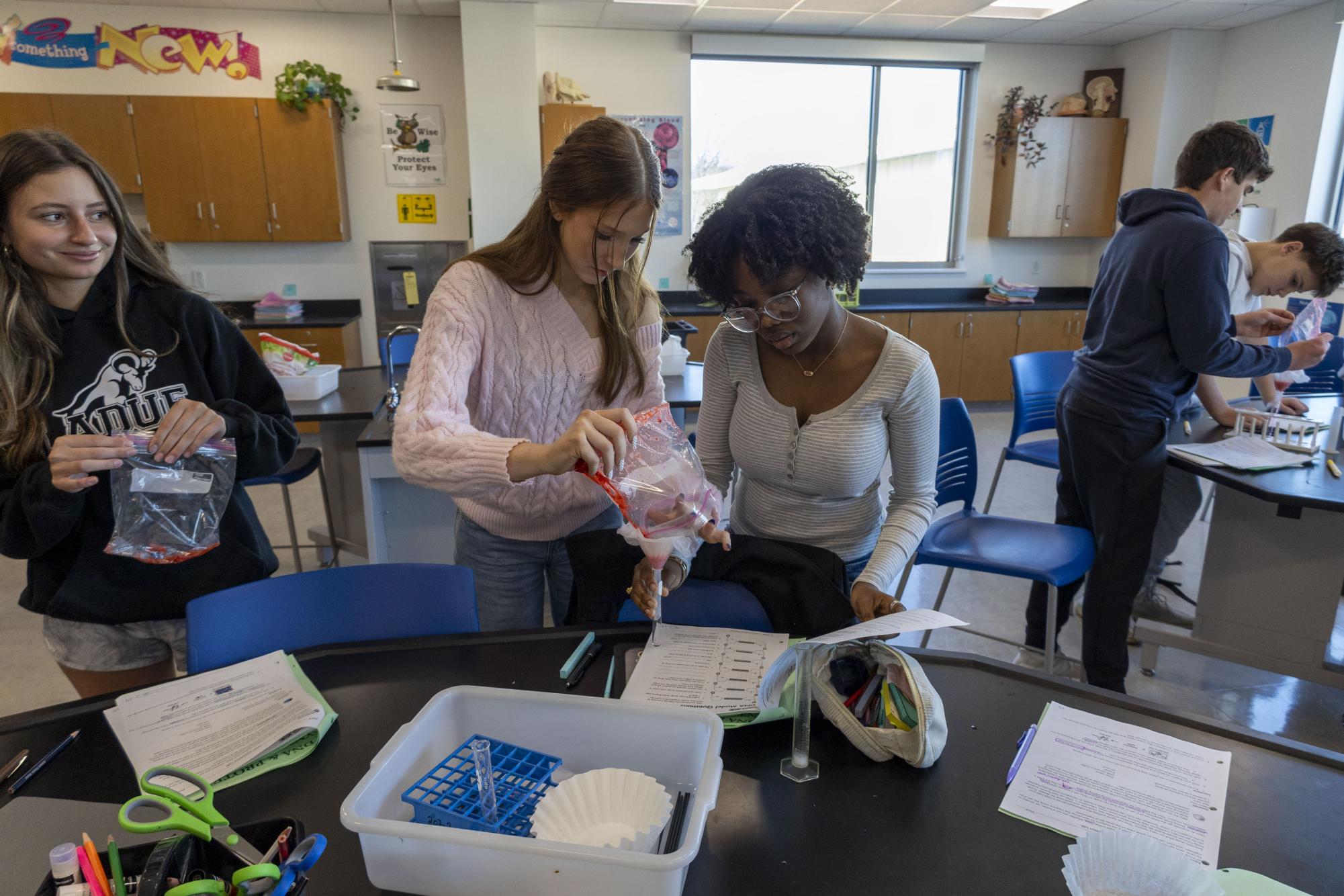 Freshmen biology students separate DNA from strawberries