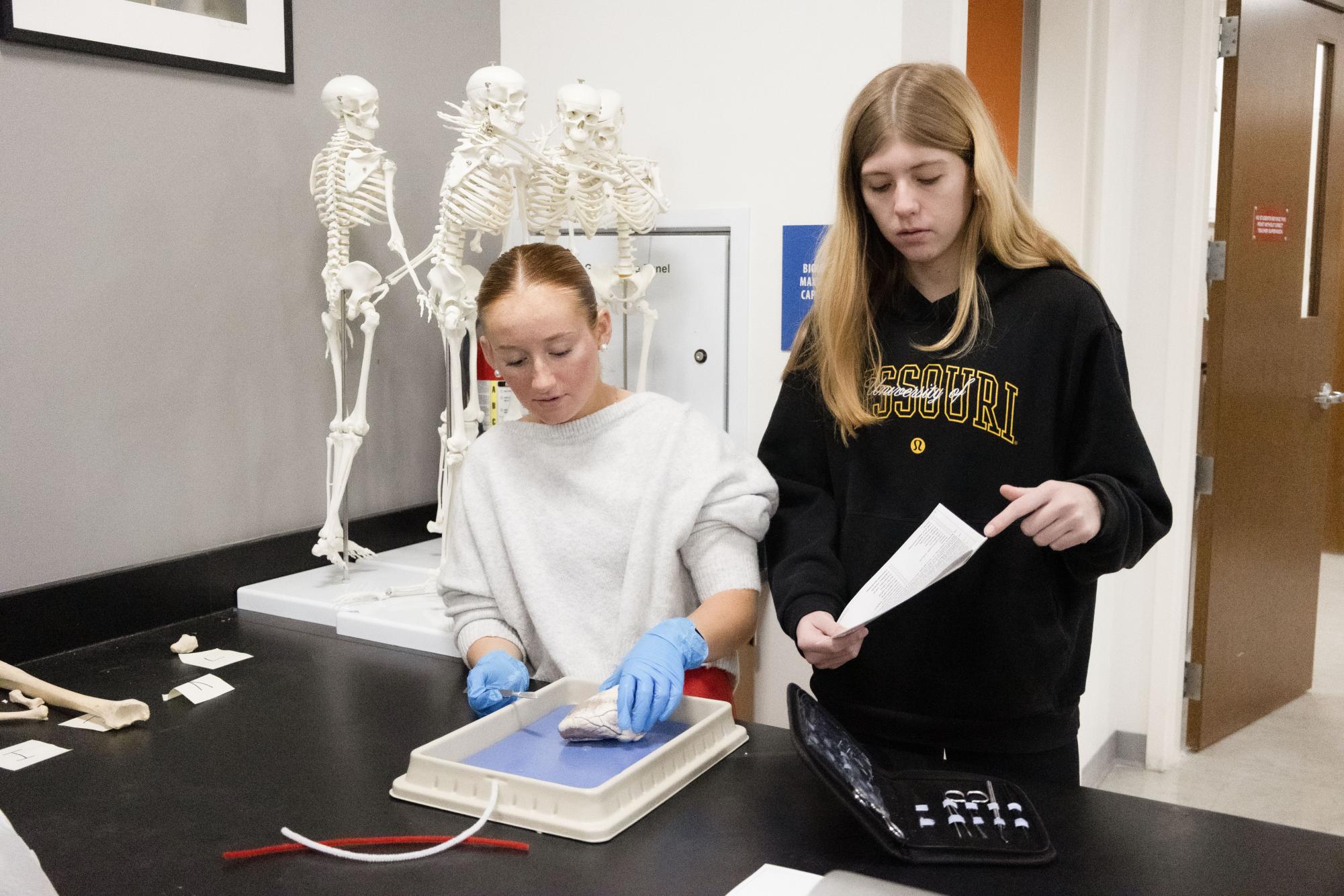 Anatomy and Physiology students complete sheep heart dissection Jan. 30