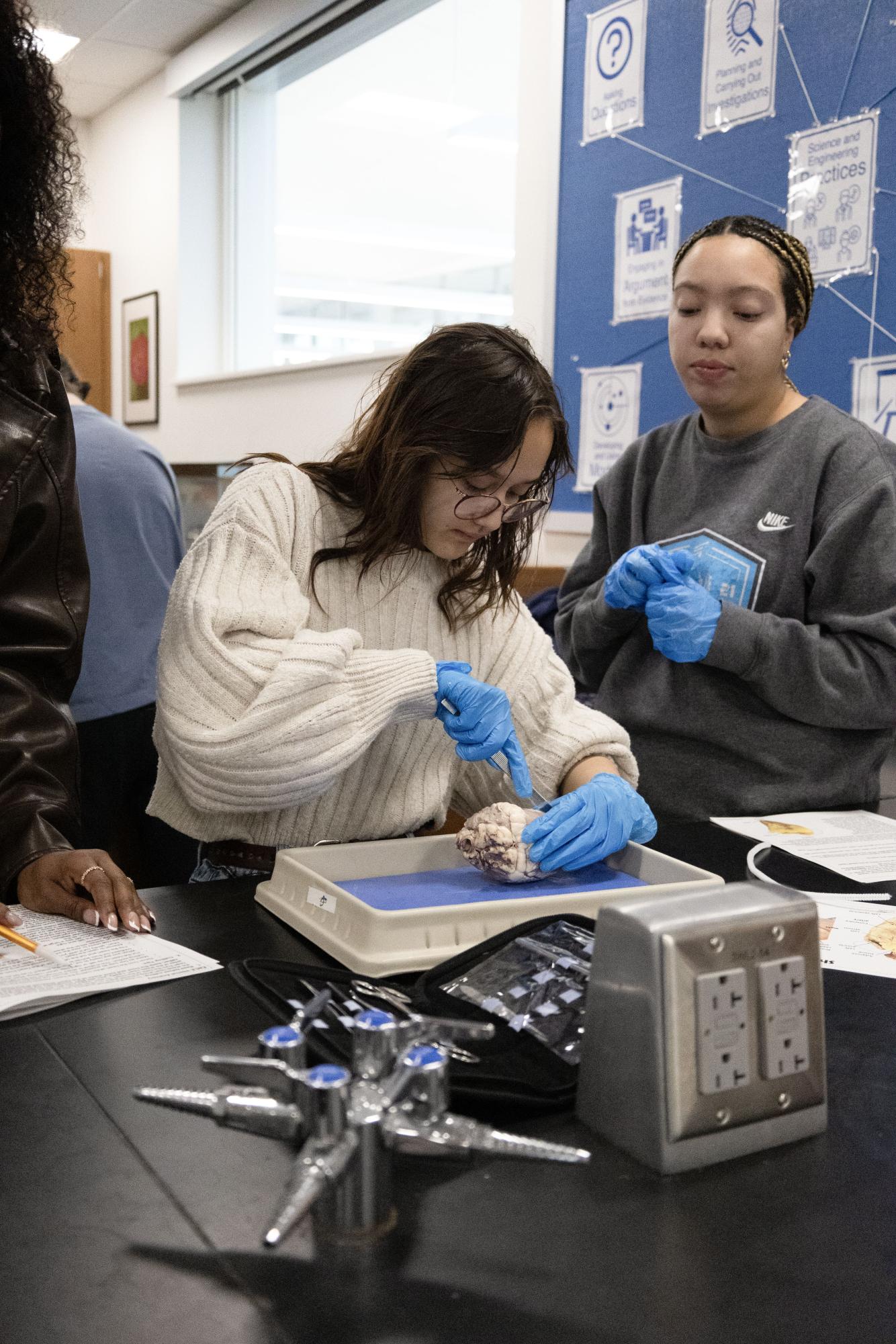 Anatomy and Physiology students complete sheep heart dissection Jan. 30