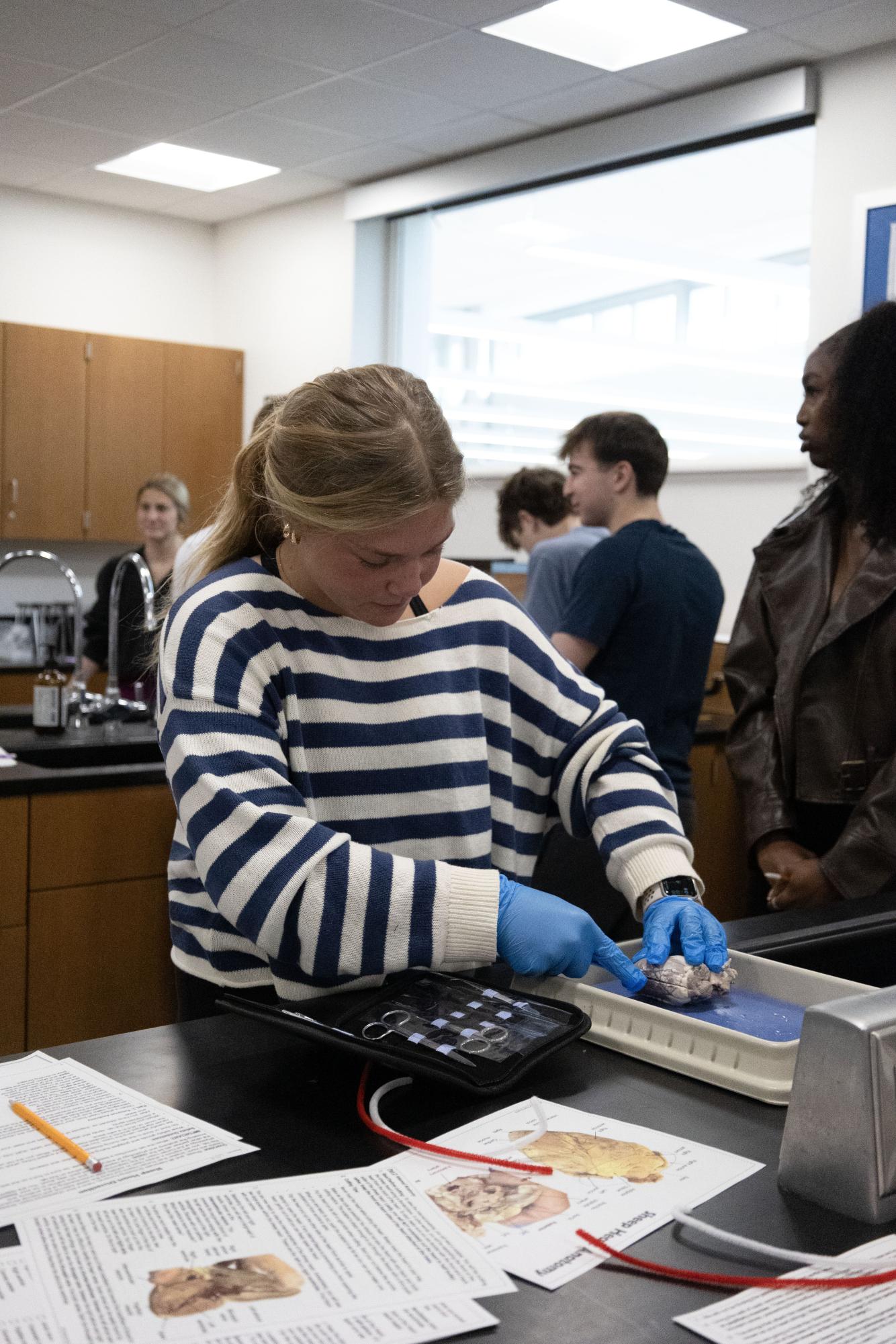 Anatomy and Physiology students complete sheep heart dissection Jan. 30