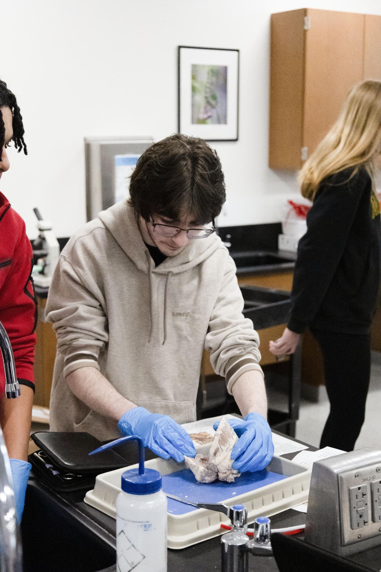 Anatomy and Physiology students complete sheep heart dissection Jan. 30