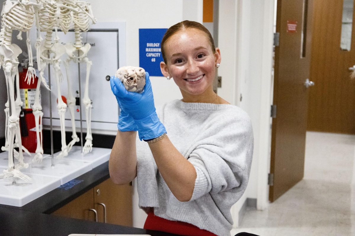 Anatomy and Physiology students complete sheep heart dissection Jan. 30