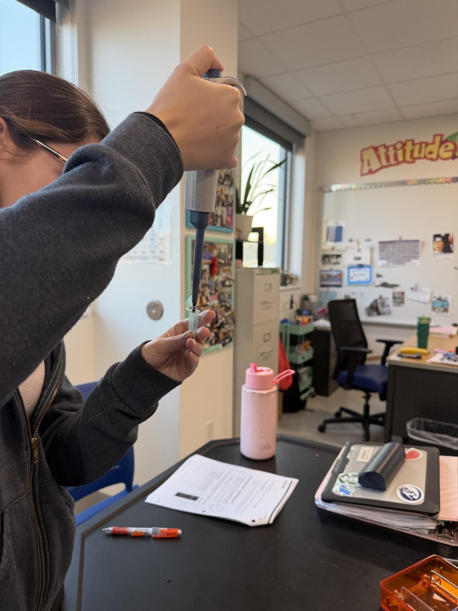 AP Biology students preform a gel electrophoresis
