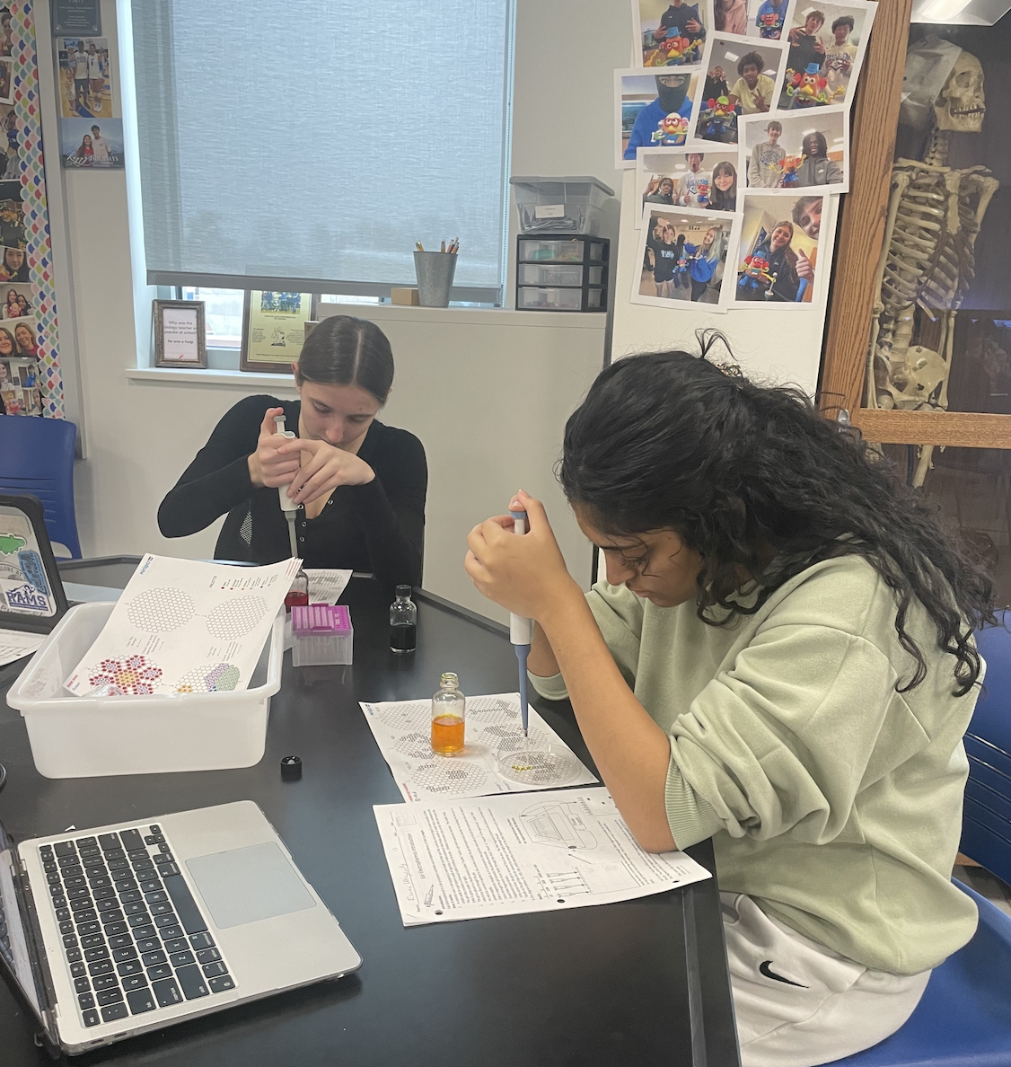 AP Biology students learn how to use a micropipette