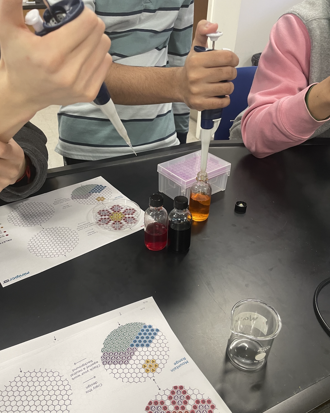 AP Biology students learn how to use a micropipette